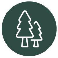 pictogramme arôme boisée