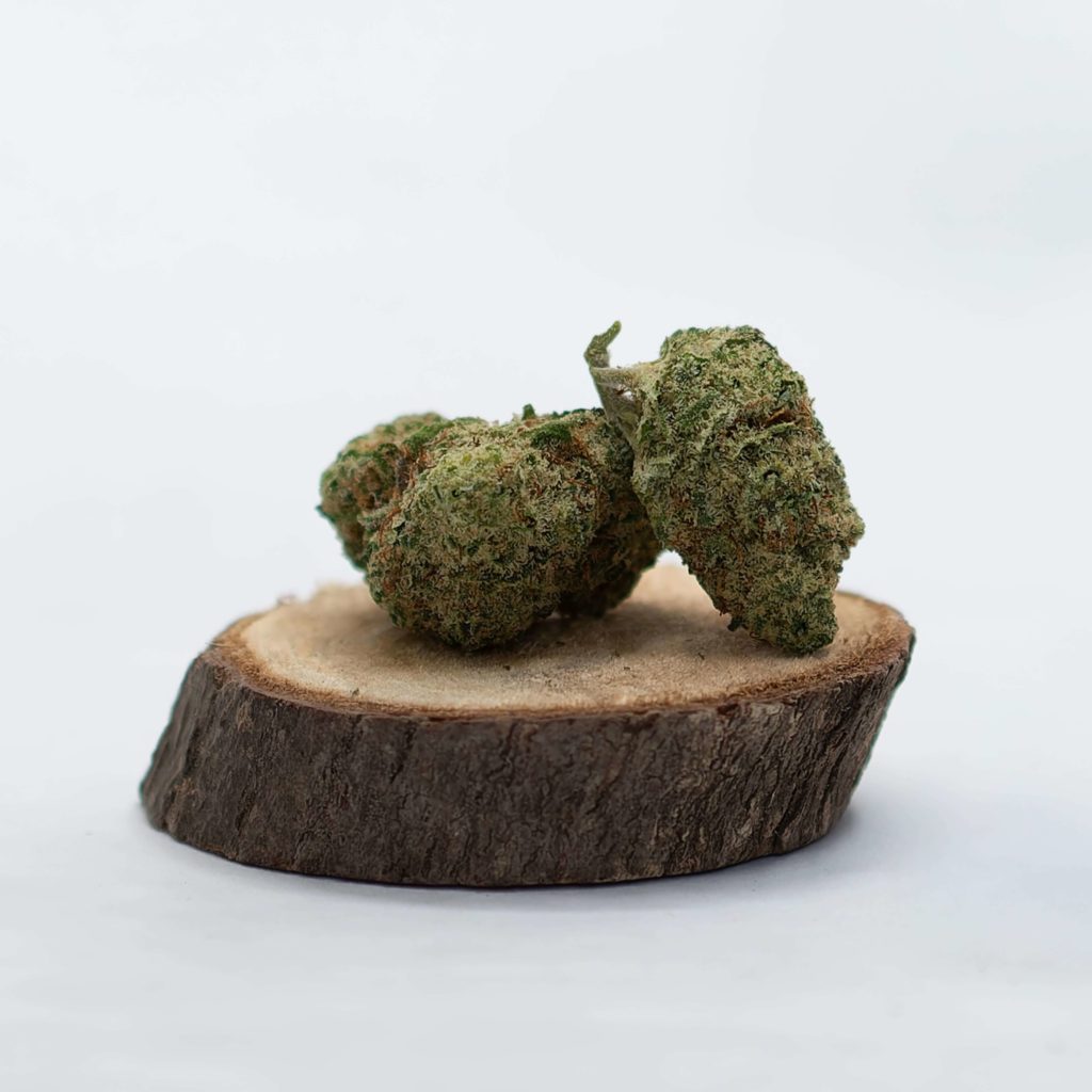 fleurs cannabis weed cbd silver haze