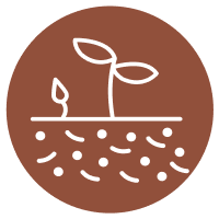 pictogramme arôme terreuse