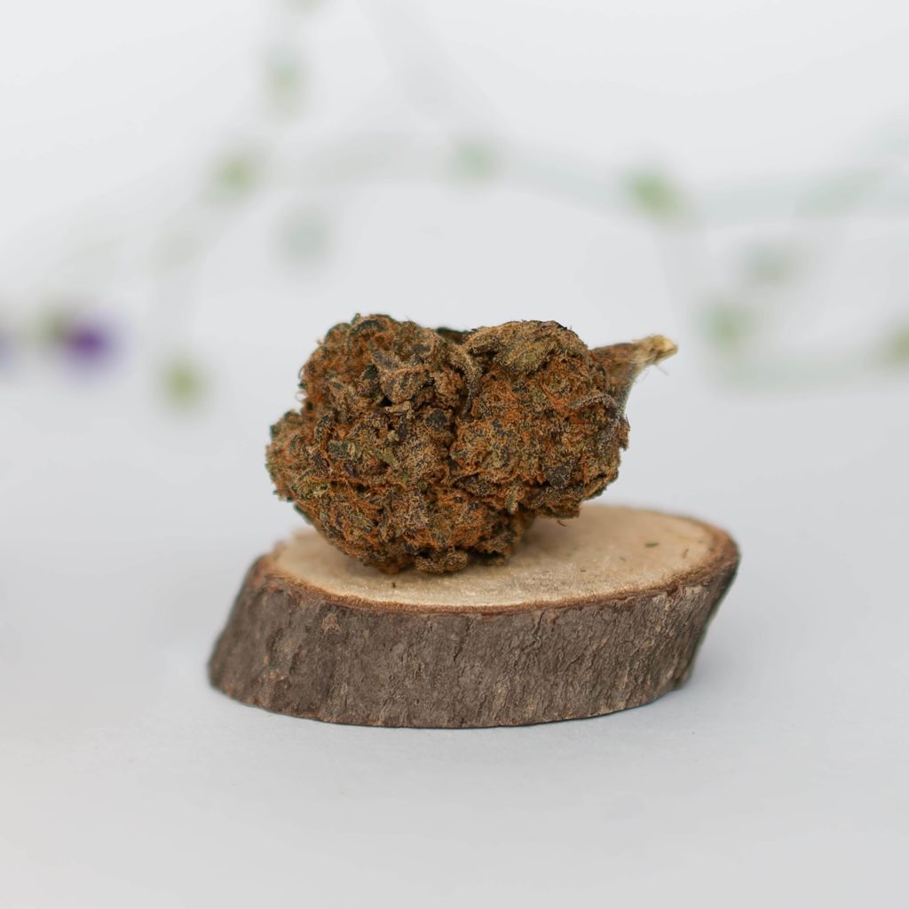 fleur cannabis weed cbd purple kali