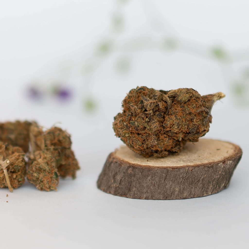 fleur cannabis weed cbd purple kali