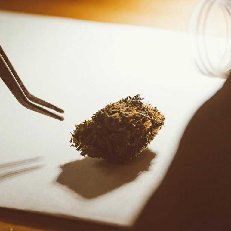 Pourquoi consommer du CBD ?