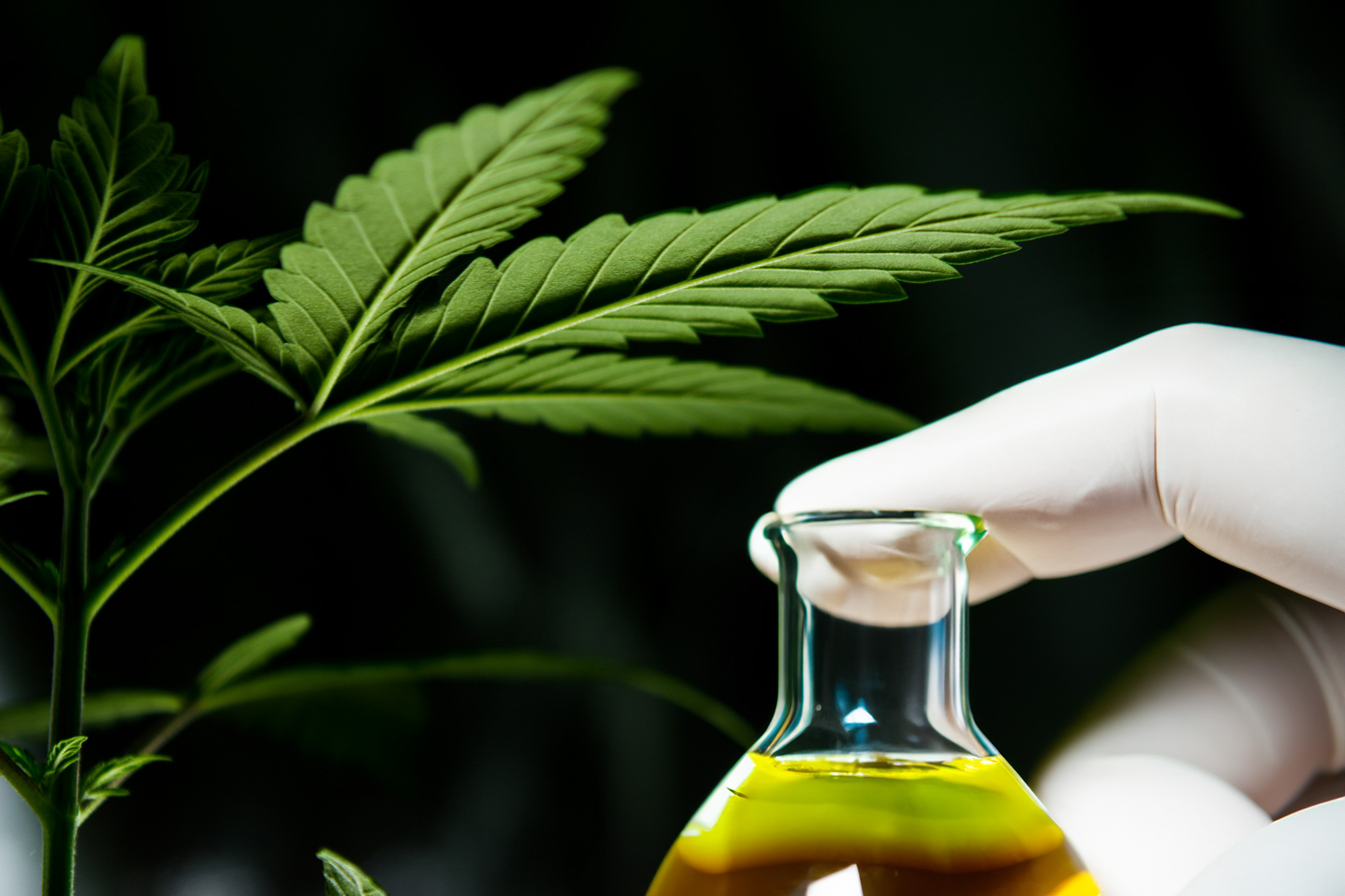 Femme qui se détend dans son salon