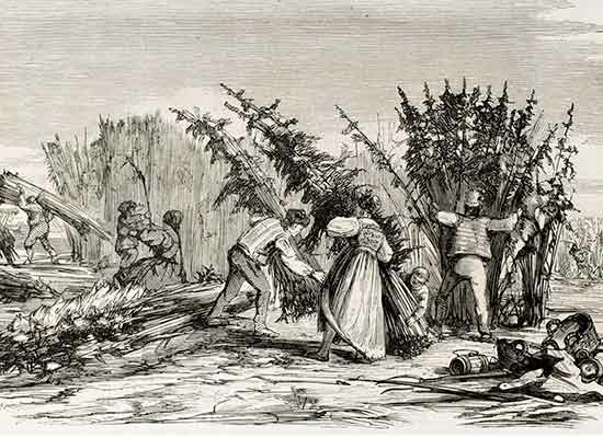 Histoire et culture du chanvre