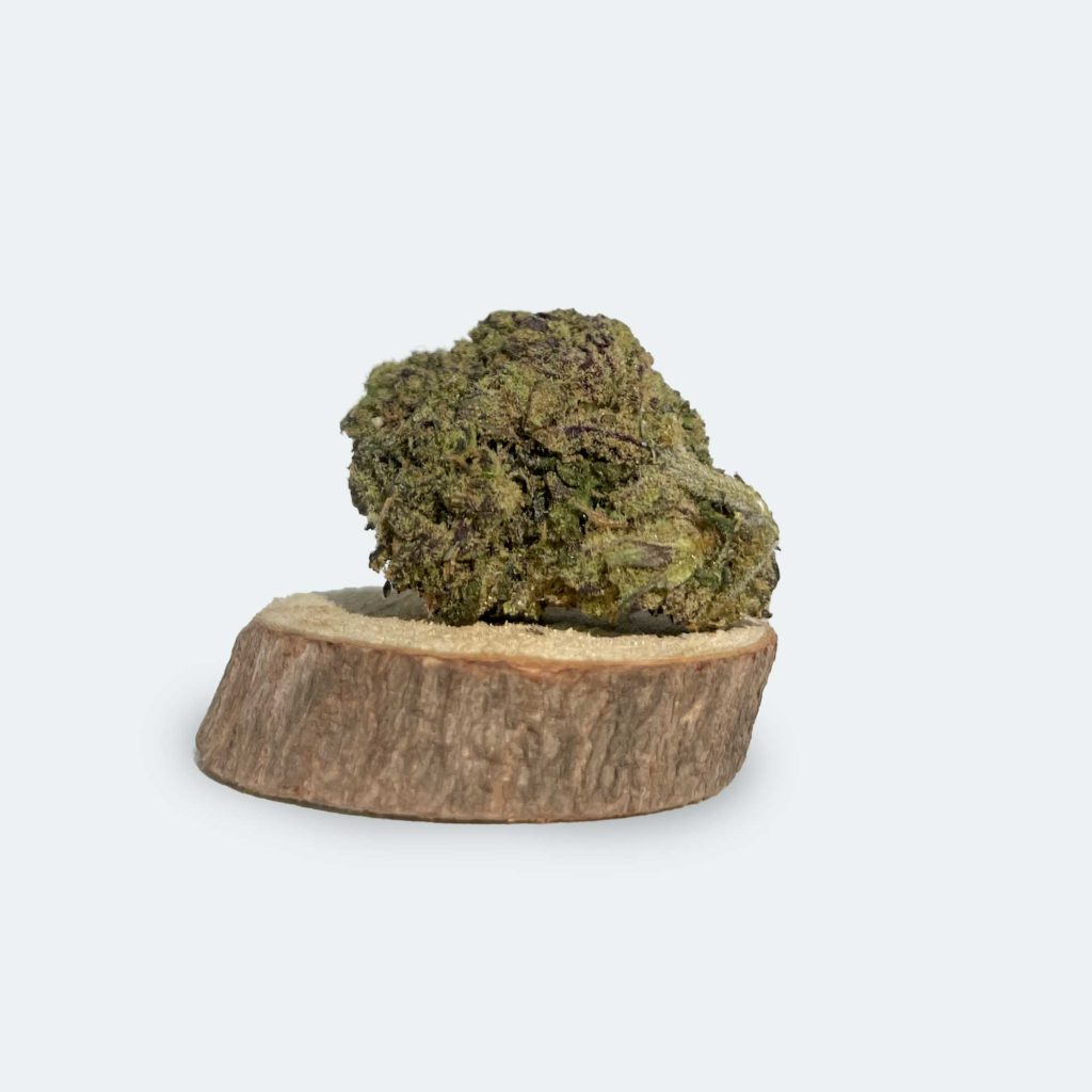 Fleurs de CBD Gelato - 25% CBD Sucré